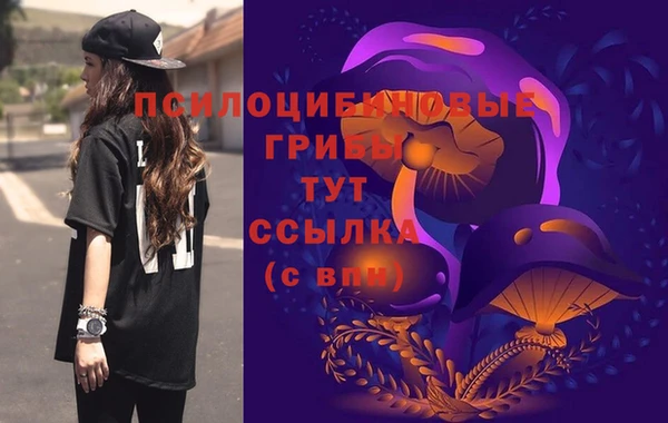 круглые Арсеньев